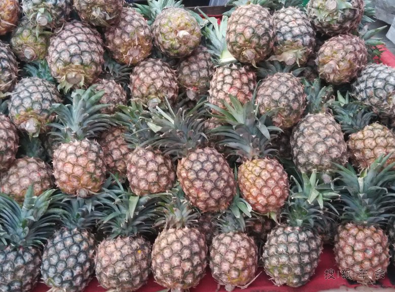 逛个旧水果市场! 买了我爱吃的琵琶! 哈哈!]