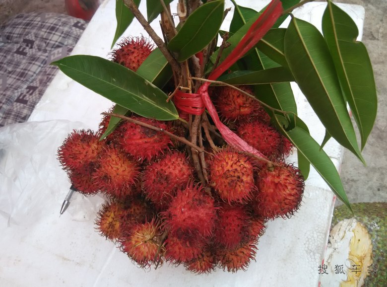 逛个旧水果市场! 买了我爱吃的琵琶! 哈哈!]