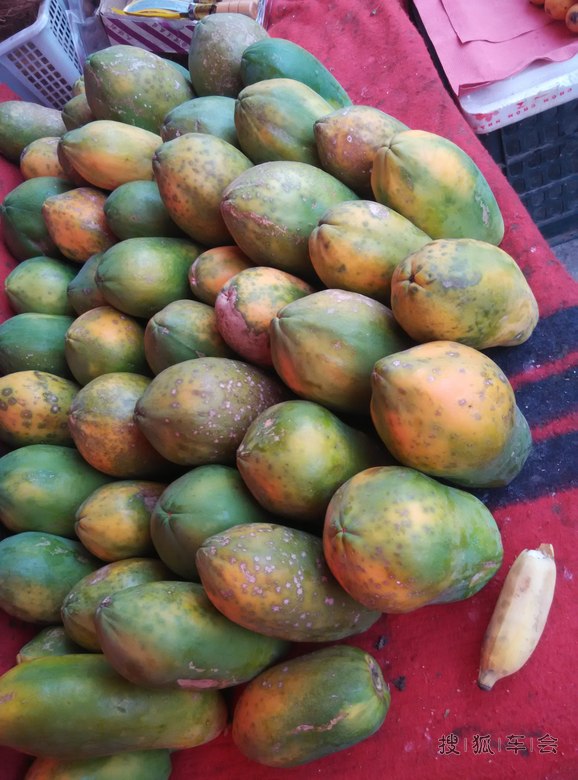 逛个旧水果市场! 买了我爱吃的琵琶! 哈哈!]