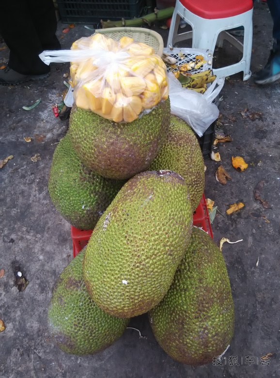 逛个旧水果市场! 买了我爱吃的琵琶! 哈哈!]