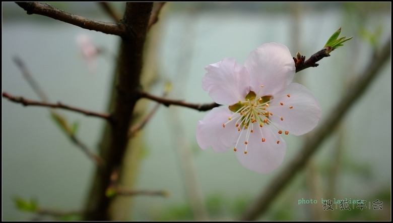 遛弯观山湖_自驾游_搜狐车友会
