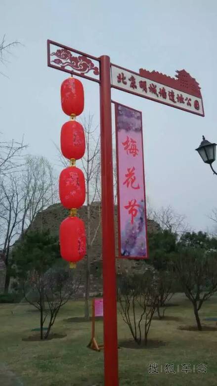 [安阳百川]梅花节