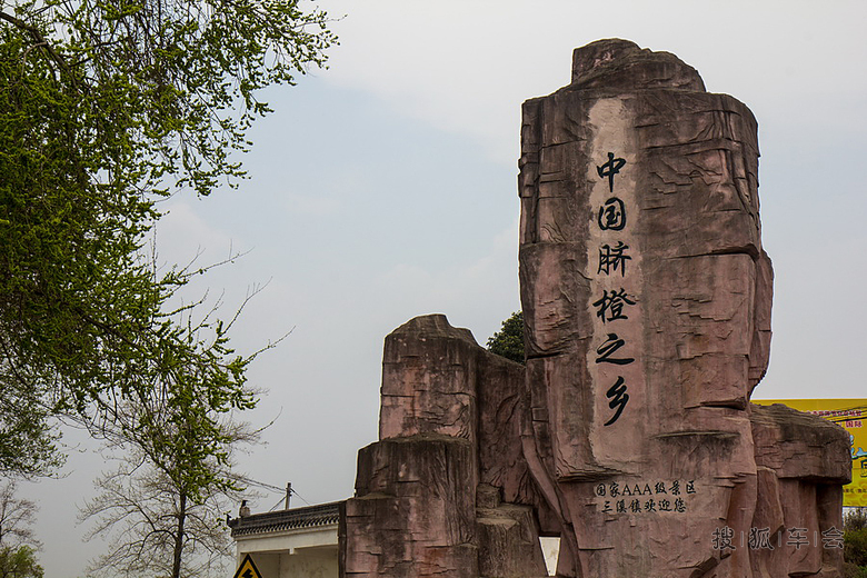 金堂三溪镇--中国脐橙之乡