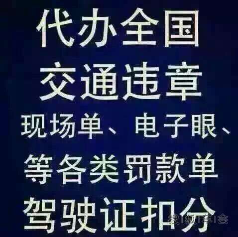 安徽519汽车违章查询代办。_合肥车友会