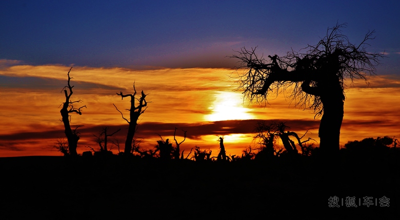 大漠深处·胡杨【1】视频_驾车旅游_搜狐车友会