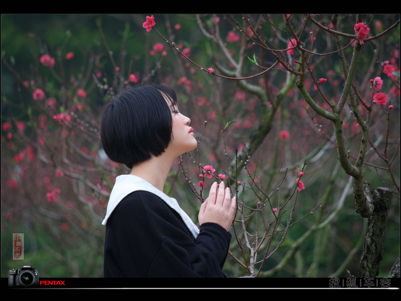 【春花灿烂】桃之韵!