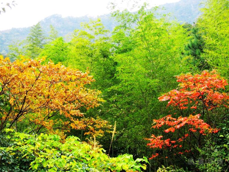 【苏车杂谈0412】不是秋色胜似秋色