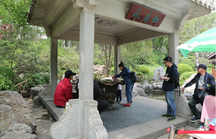 #超牛体验官# 济南,趵突泉之大明湖畔的夏雨荷