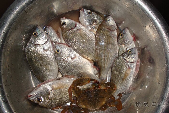 全家自驾游-日照海边垂钓、吃海鲜,住渔家,畅快