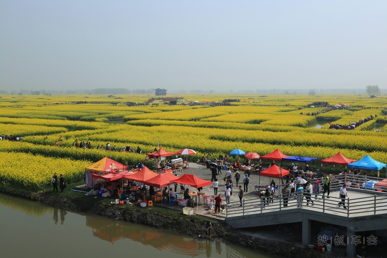 兴化的千垛菜花景区