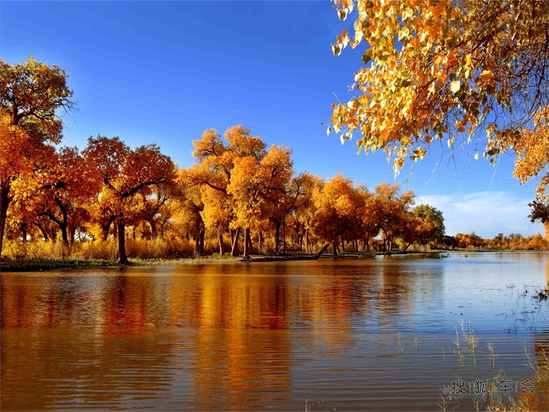 9月17出发金秋大美新疆20日自驾游捡人了!