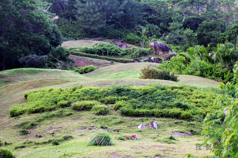 [原创]康斯坦斯利莫利亚酒店小景_人在旅途_搜