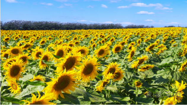 北京十一国庆节哪里旅游好?家门口的农庄家门