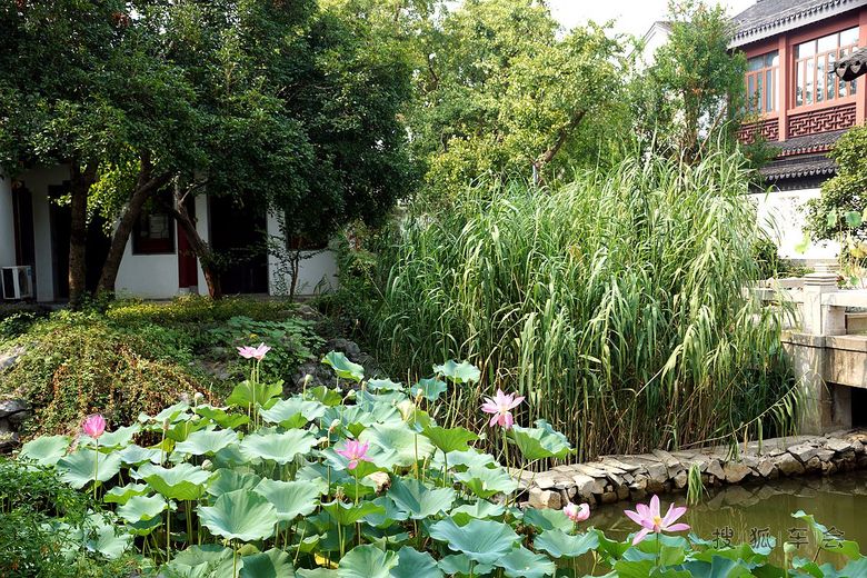 【安阳百川】苏州雕花楼
