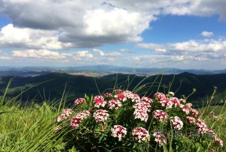 北京的后花园:河北省张家口地区崇礼县