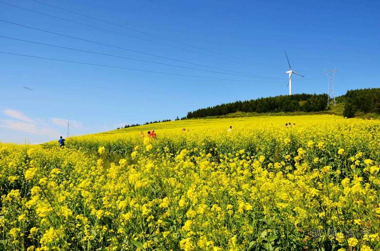 北京的后花园:河北省张家口地区崇礼县
