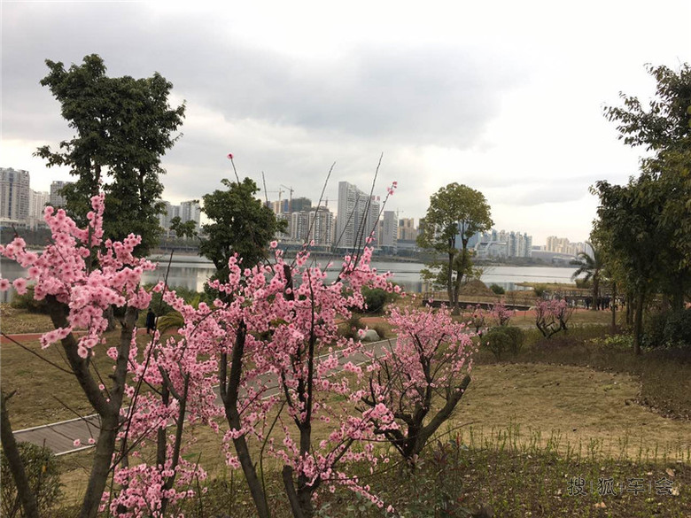 【四川遂宁】自驾RX5圣莲岛一日游!