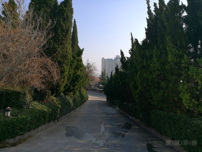 PID24656387