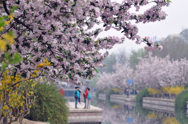 北京海棠花溪_自驾游_搜狐车友会