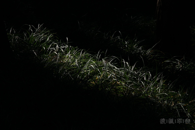 和乐快大哥学拍片儿_悦动车友会