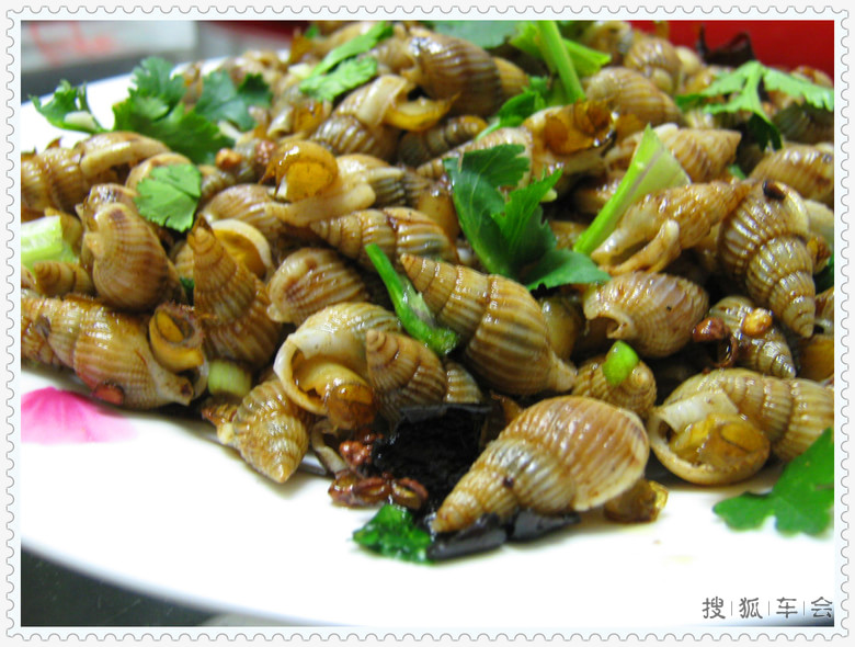 烟台小吃海瓜子_宝来论坛_汽车论坛 _搜狐车友会