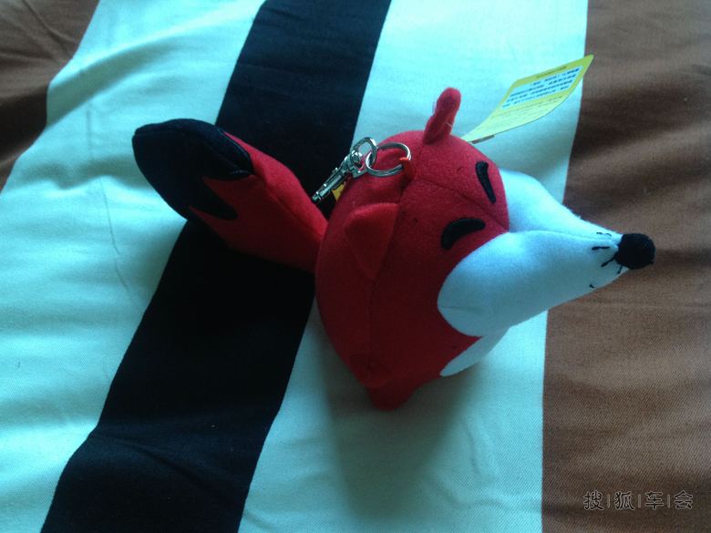 秀秀我的小狐狸_奇骏车友会