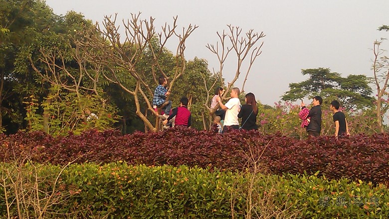 逛公园时见到的很不文明的行为_中国自驾游户