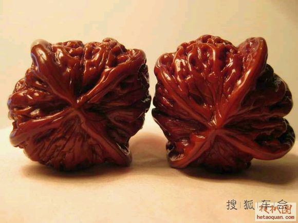 核头 大杂烩_北京骐达论坛