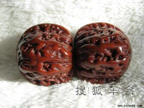 核头 大杂烩_北京骐达论坛