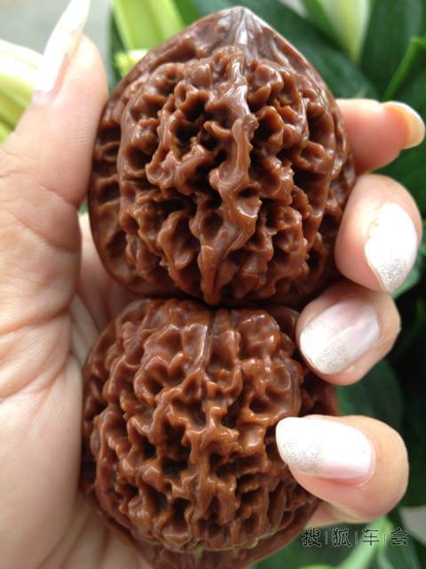 核头 大杂烩_北京骐达论坛