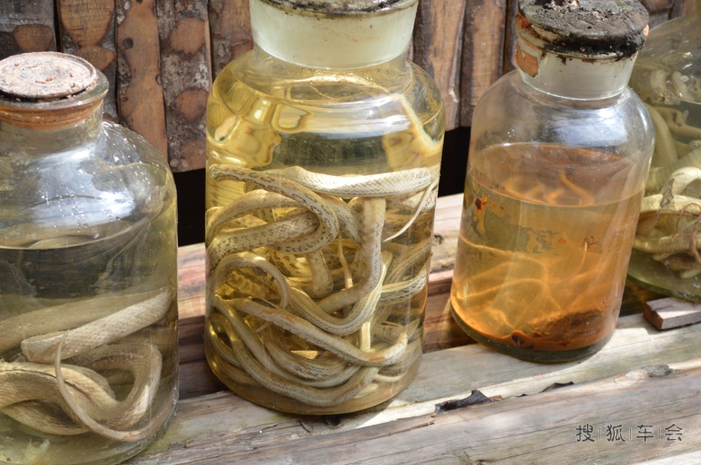 【北车写手】海南三亚槟榔谷一日游全攻略_北