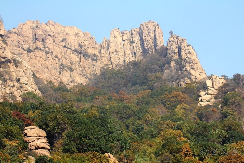 9451680.JPG_s780