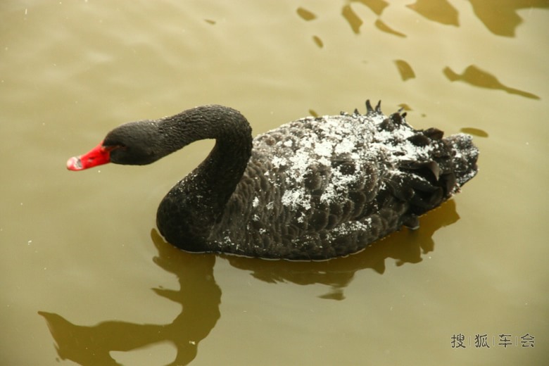 天津光河谷两日游记