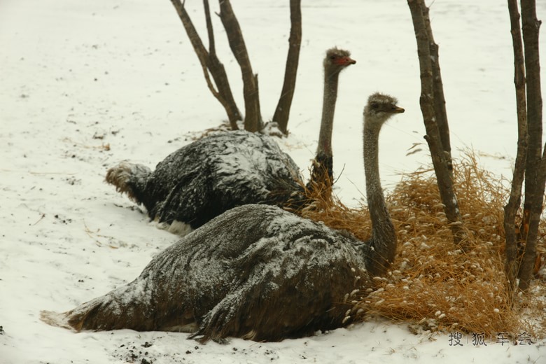天津光河谷两日游记_天津车友会