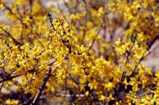 收官大作!2013与汉兰达走过的点点美好回忆 _