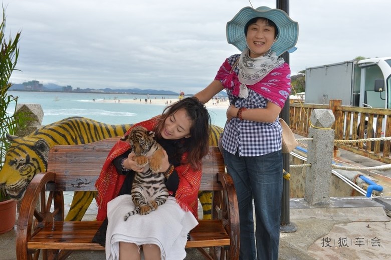 冬季去三亚感受热带雨林的温度_轻野联盟