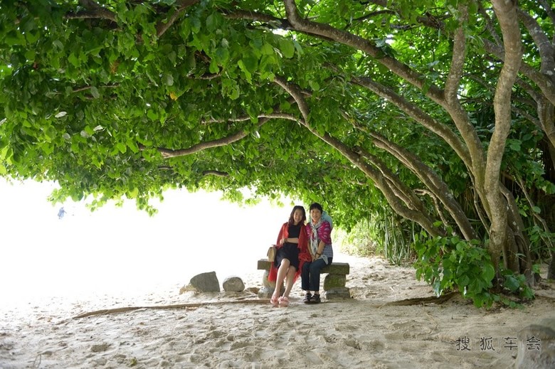 冬季去三亚感受热带雨林的温度_轻野联盟