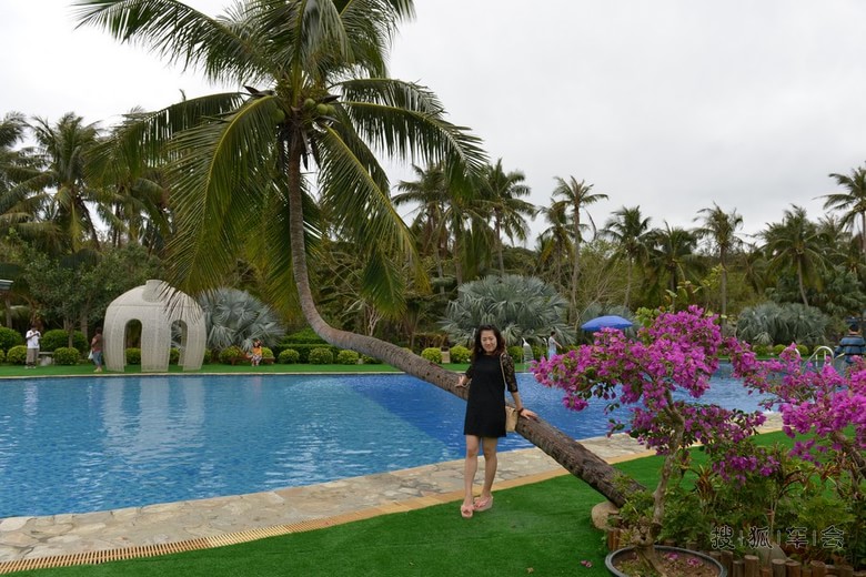 冬季去三亚感受热带雨林的温度_轻野联盟