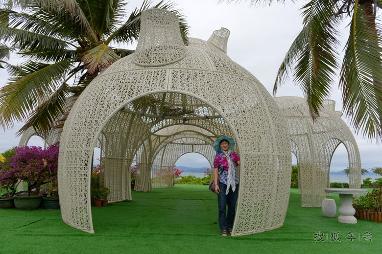 冬季去三亚感受热带雨林的温度_轻野联盟