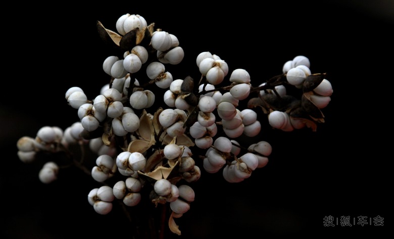 大别山--春天般的感觉_搜狐-车影会