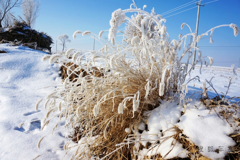 大城市铁岭内疙瘩的雾松_北京途安车友会
