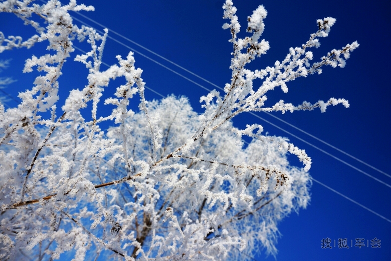 大城市铁岭内疙瘩的雾松_北京途安车友会