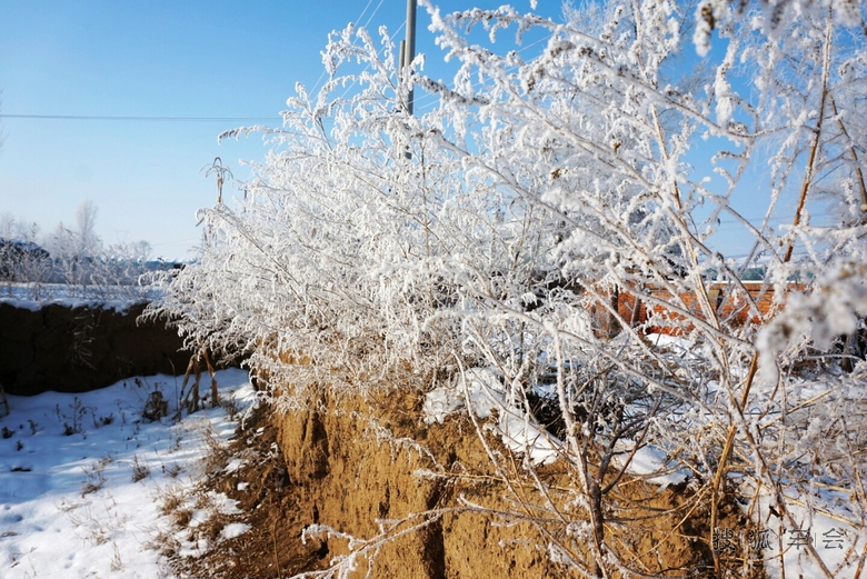 大城市铁岭内疙瘩的雾松_北京途安车友会