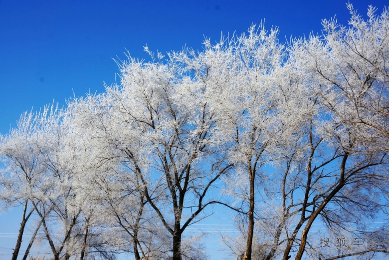 大城市铁岭内疙瘩的雾松_北京途安车友会