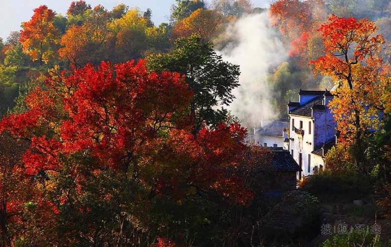 【摄影旅游】徽州 美如画_港澳自由行