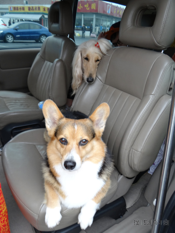 无锡元一温泉及灵山大佛自驾回顾贴_上海车友