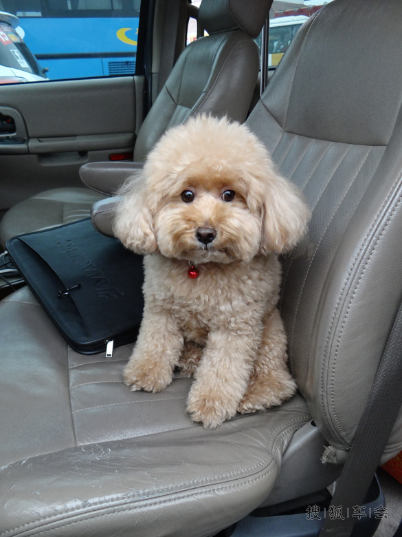 无锡元一温泉及灵山大佛自驾回顾贴_上海车友