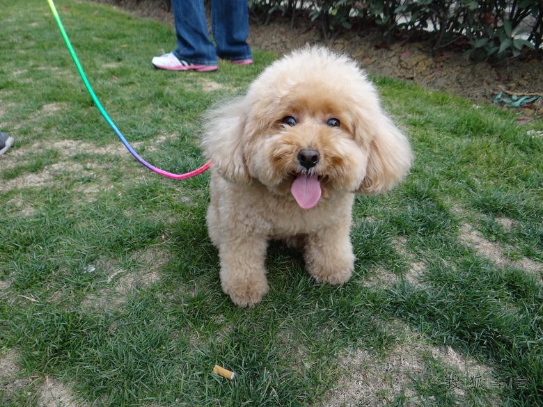 无锡元一温泉及灵山大佛自驾回顾贴_上海车友