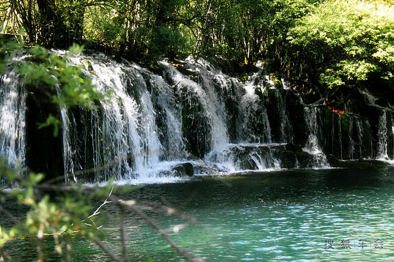动静结合蓝白相间 别致的箭竹海瀑布_浙江车友