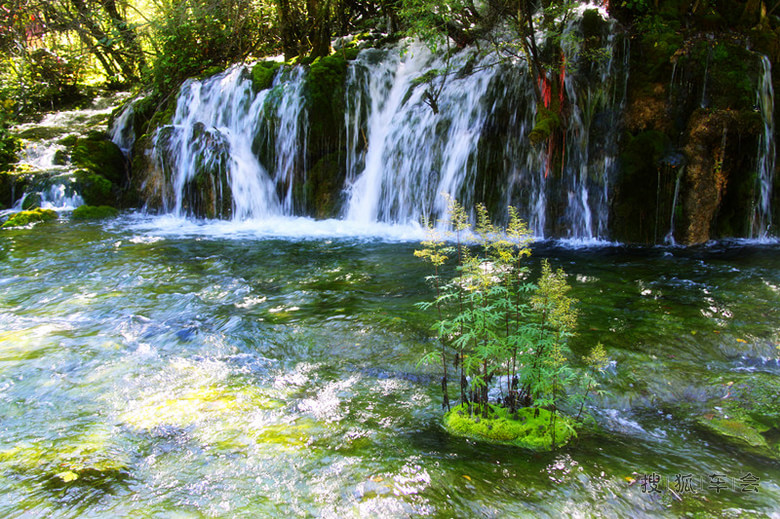 动静结合蓝白相间 别致的箭竹海瀑布_浙江车友